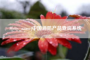 桂阳中国消防产品查询系统