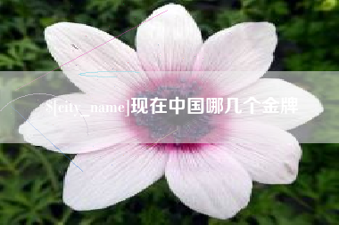 桂阳现在中国哪几个金牌