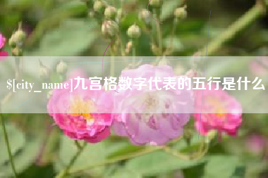 桂阳九宫格数字代表的五行是什么