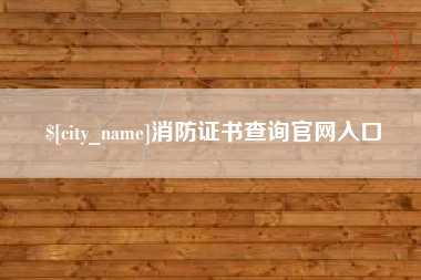 桂阳消防证书查询官网入口
