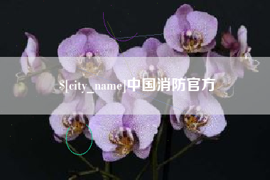 桂阳中国消防官方