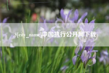 桂阳中国执行公开网下载
