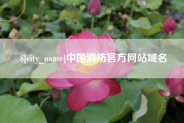 桂阳中国消防官方网站域名