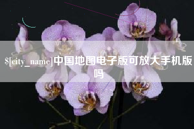 桂阳中国地图电子版可放大手机版吗