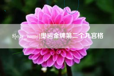 桂阳奥运金牌第二个九宫格