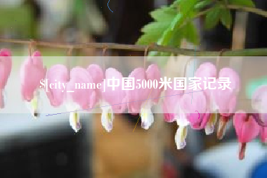桂阳中国5000米国家记录