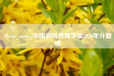 桂阳中国消防救援学院2020年分数线