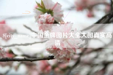 桂阳中国金牌图片大全大图真实高清