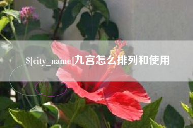 桂阳九宫怎么排列和使用