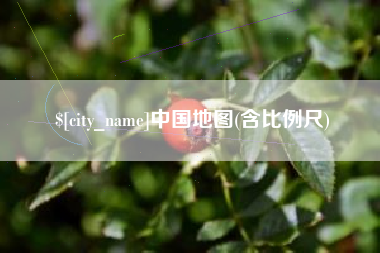 桂阳中国地图(含比例尺)