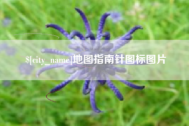 桂阳地图指南针图标图片