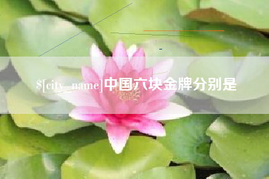 桂阳中国六块金牌分别是
