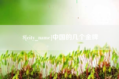桂阳中国的几个金牌