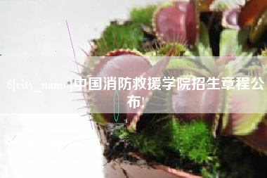 桂阳中国消防救援学院招生章程公布!