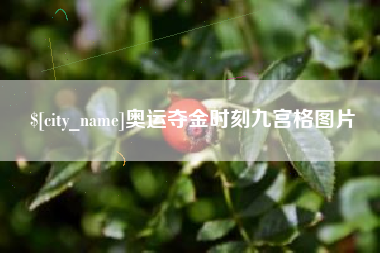桂阳奥运夺金时刻九宫格图片