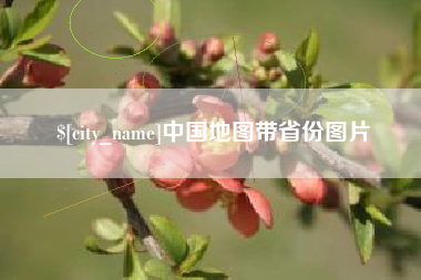 桂阳中国地图带省份图片