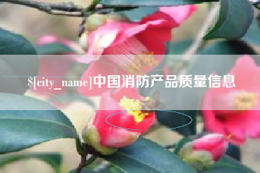 桂阳中国消防产品质量信息