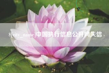 桂阳中国执行信息公开网失信