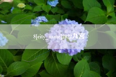 桂阳2022九宫