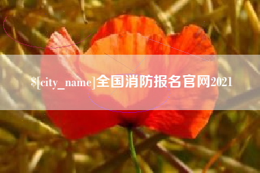 桂阳全国消防报名官网2021