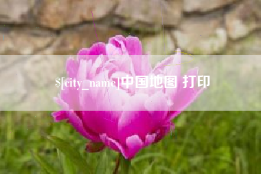 桂阳中国地图 打印