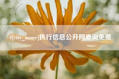 桂阳执行信息公开网查询免费