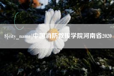 桂阳中国消防救援学院河南省2020